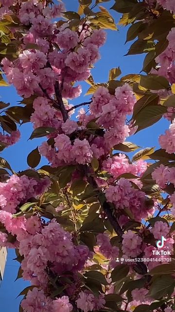 Природа снова радует шедеврами 💥