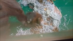 Мишель не даёт мне снимать свою дочку, а хочет чтобы я только с ней общалась 17.04.2026