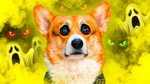 САМЫЕ СТРАШНЫЕ СЕРИИ 2026 ГОДА!!! Корги Кекс Говорящая собака