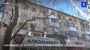 «Наливаек» в жилых домах Севастополя стало меньше