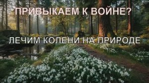 ПРИВЫКАЕМ К ВОЙНЕ? ЛЕЧИМ КОЛЕНИ НА ПРИРОДЕ.