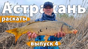 Мой рекордный сазан! Рыбалка в Астрахани на раскатах Волги.