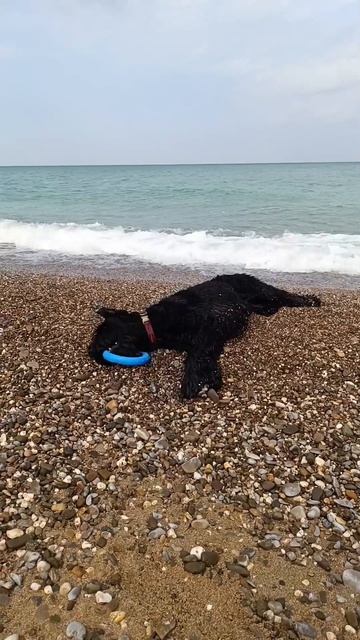 Video.Guru_20240817_180357419