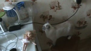 2)НОВЫЙ ГОД 2018