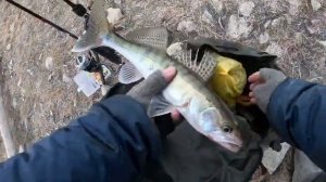 Северный объезд в начале апреля 2026.