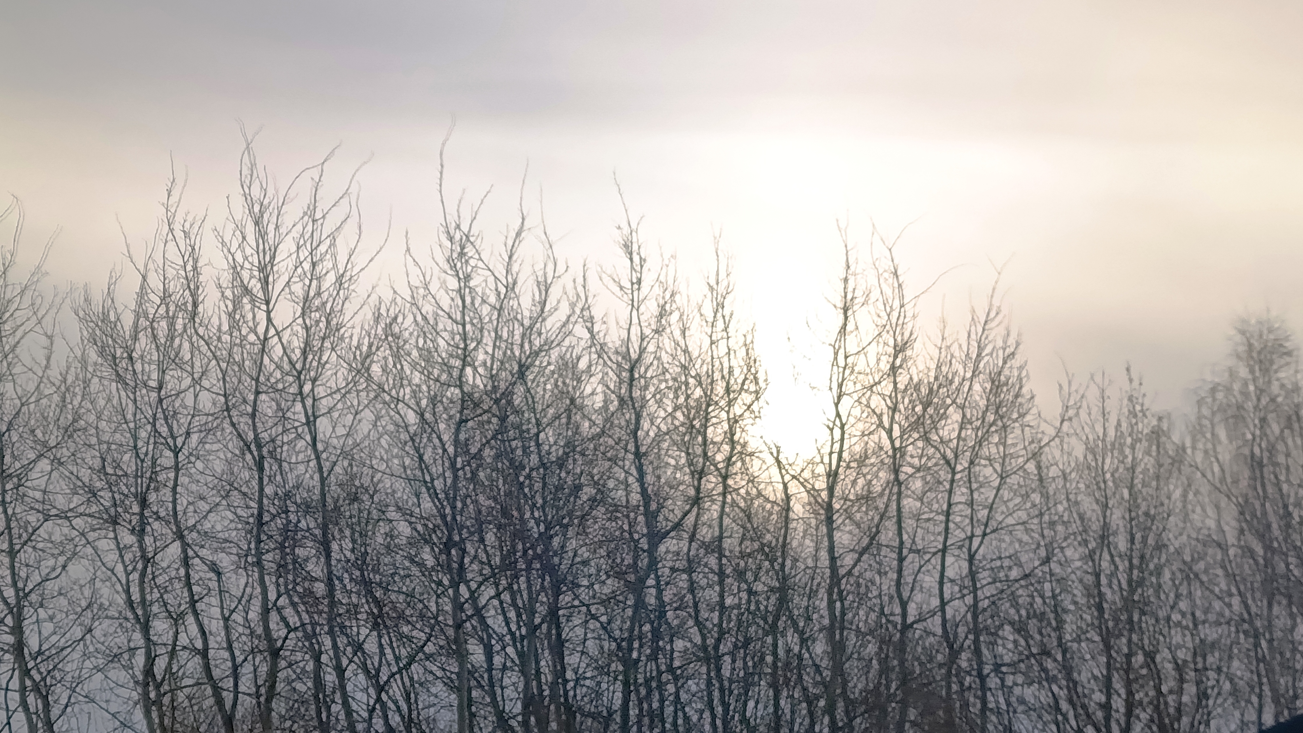 ХОЛОДНОЕ УТРО. #музыка #гитарист #видео #топкатегории