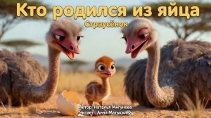 Кто родился из яйца(Страусёнок)