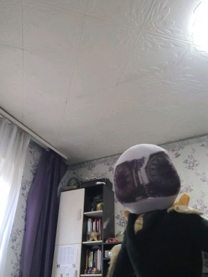 5 серия skibidi ар