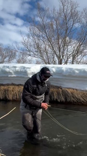 Обычный Камчатский день ))