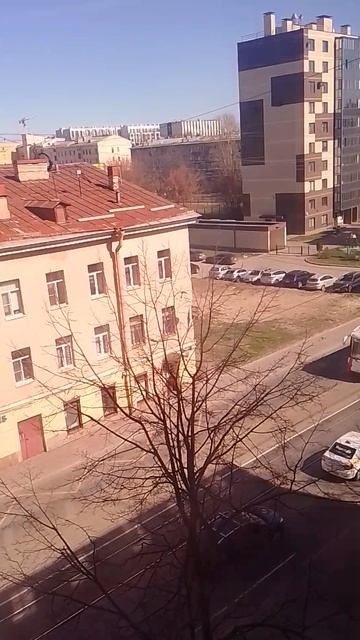 трамвай и дома на проспекте в Питере...2026г