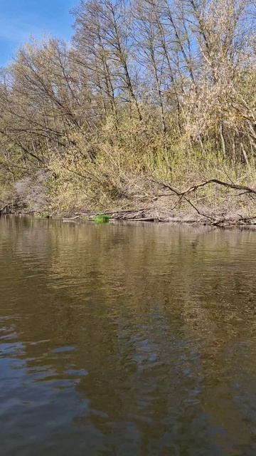 Сплав по реке Калитва! #сплавнабайдарках #калитва #фишмир #природа