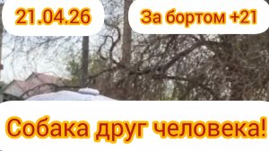 Вышли с девочками прогуляться за забор. Разрабатываем лапки. Коллапс трахеи штука серьёзная.