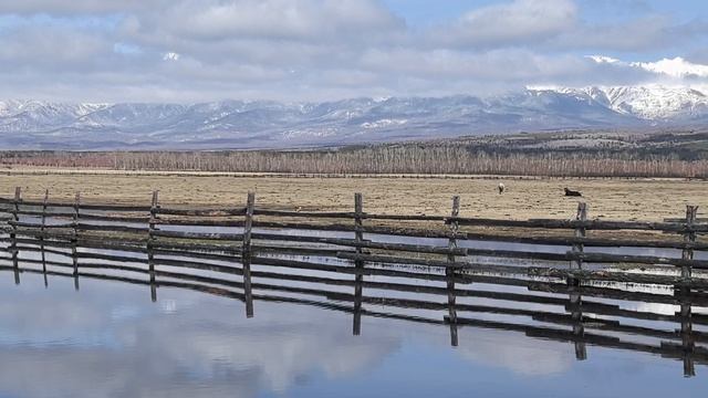 здесь я живу