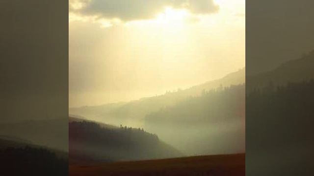 Слово и Дождь