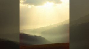 Слово и Дождь