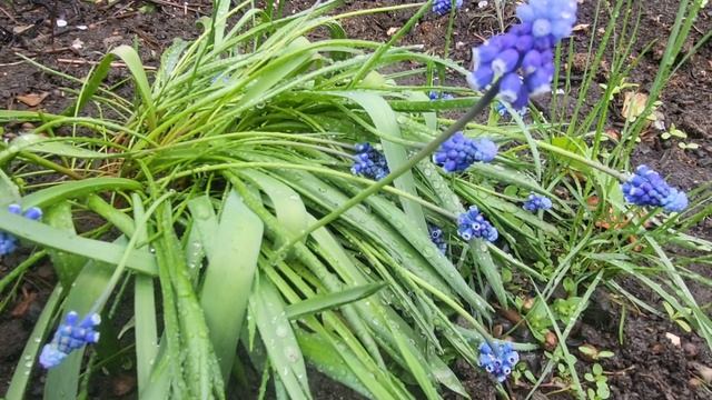 Дождь, град, снег. Все нормально, 21 апреля