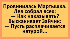Провинилась Мартышка. Лев собрал всех зверей... | Анекдоты смешные | Юмор