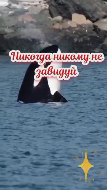 B5f536bc-a653-4bef-b7d1-9de5b100ad37.mp4