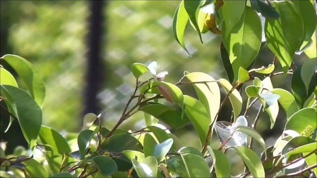 Печать перемен. Символ, который активирует вашу судьбу.