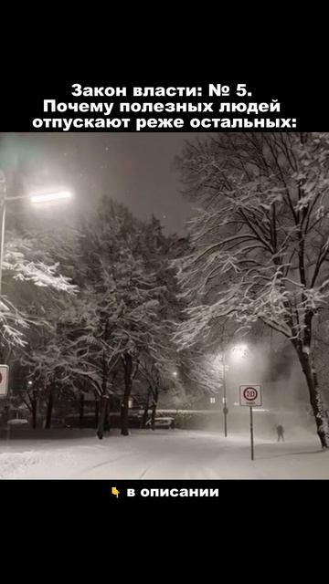 Закон власти № 5