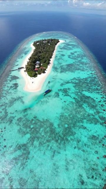 Незабываемый тропический рай: секреты затерянного острова #путешествия #острова #природа