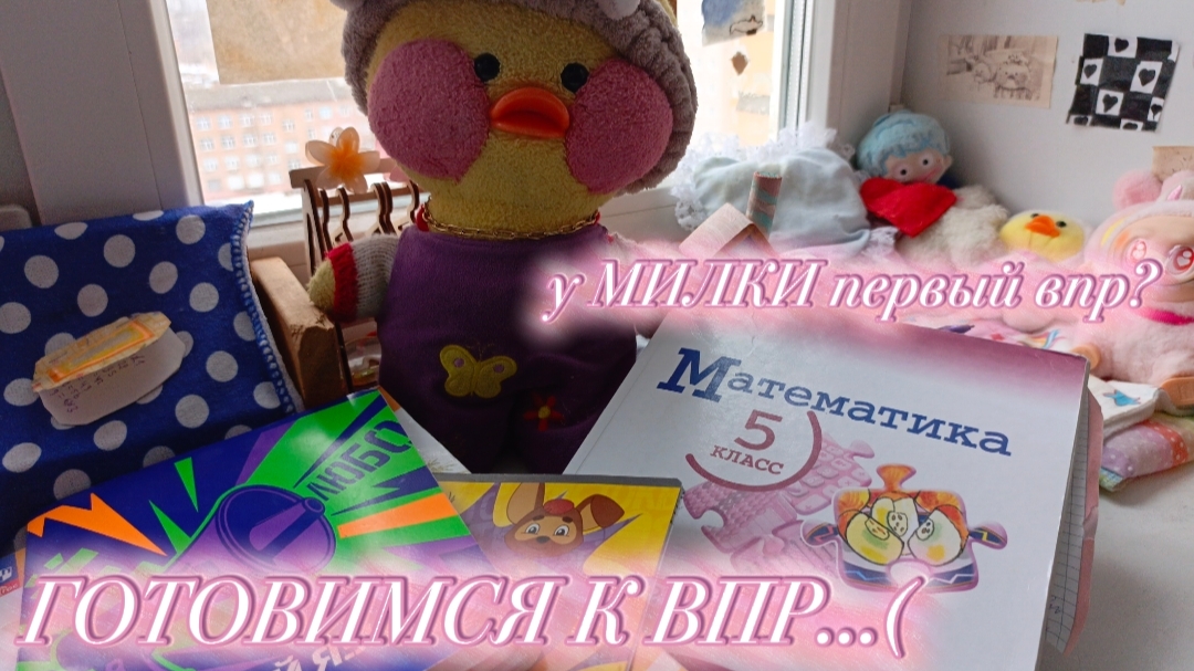 У МИЛКИ ПЕРВЫЙ ВПР ( ГОТОВИМСЯ К ШКОЛЕ...💫