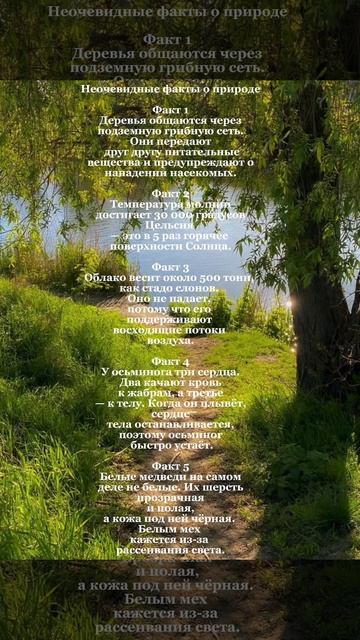 Интересные факты о которых ты точно не знал!