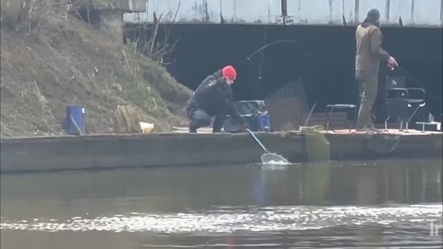 Спортзона.Поимки