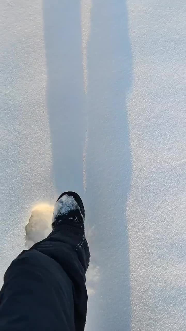 Рeн-тв выеxaли!