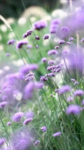 Иллюзия выхода из Матрицы