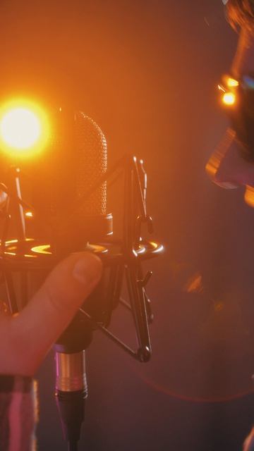 Сыпь, гармоника | Перепел нейросеть | Stp Cover   #music #cover #spt #есенин