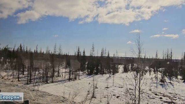 Дорога Лабытнанги — Харп — Лабытнанги. Реальная ЖизньСеверян. Ямало-Ненецкий АО. 2026 Релакс