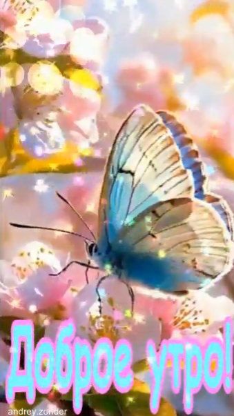 Доброе утро!) Замечательного дня!) #доброеутро