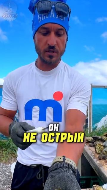 Озеро Буссе лагуна