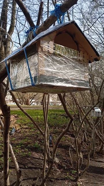 21.04.26. поменяла кормушку для синиц и белочек