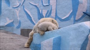 После завтрака Герда и малыш прилегли на камень отдохнуть 17.04.2026