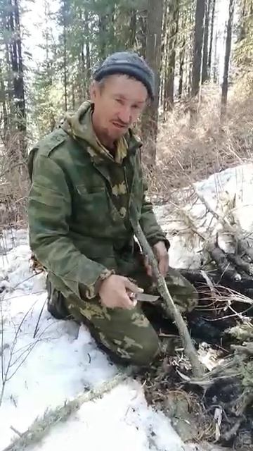 заготовка ореха весной.