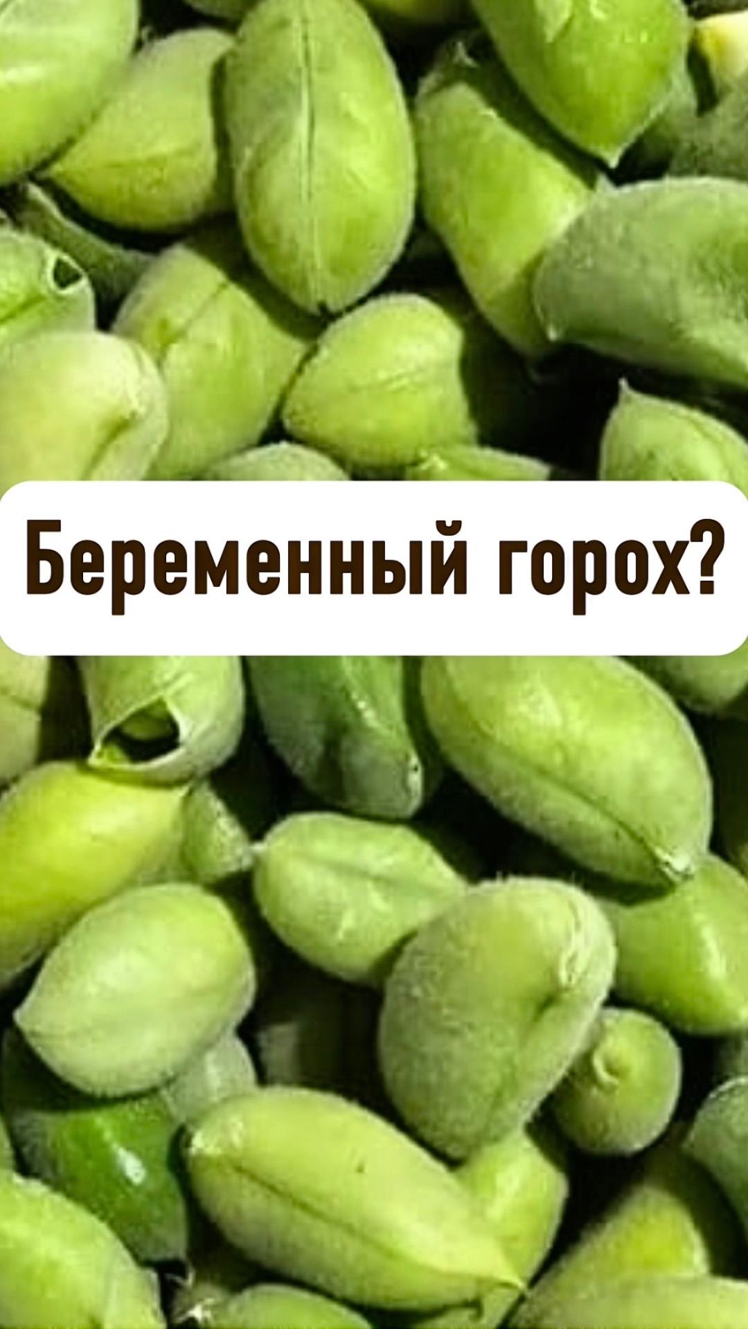 Беременный горох?