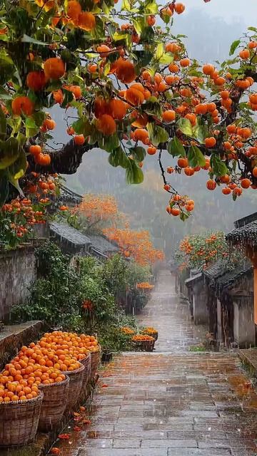 Нейросеть видео