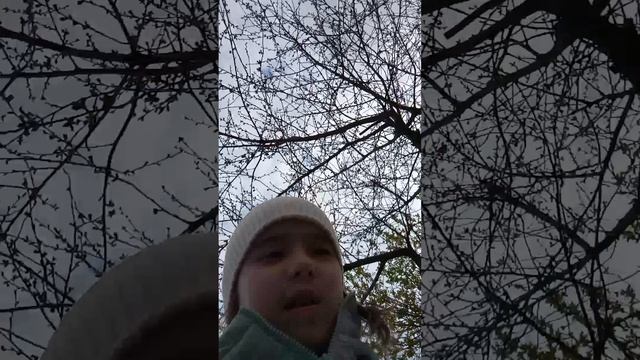 влог в магазине с реборном викой и сходка с 🌈🌈Sofa World🌈 и лайкай🐶 1 часть