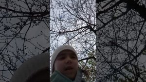 влог в магазине с реборном викой и сходка с 🌈🌈Sofa world🌈 и лайкай🐶 1 часть