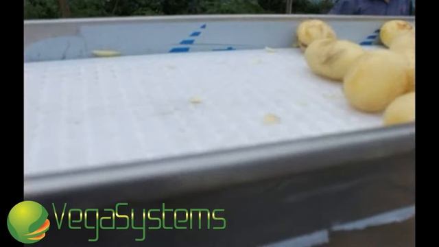 Весовой дозатор для овощей и фруктов Вега/Vega XL 600