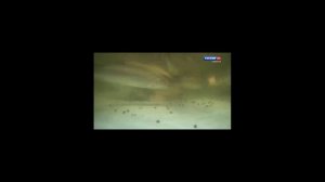 Трусихина Валентина Александровна