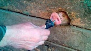 Техносфера: Золотая клетка с вай-фаем🤖