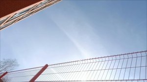 опять дерево