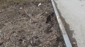 Интересно на улице.