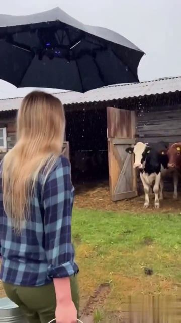 Нейросеть видео