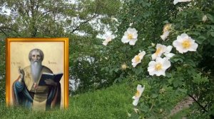 24 апреля день Антипы. Умойтесь чистой водой с утра, чтобы смыть болезни и накопленную тяжесть.