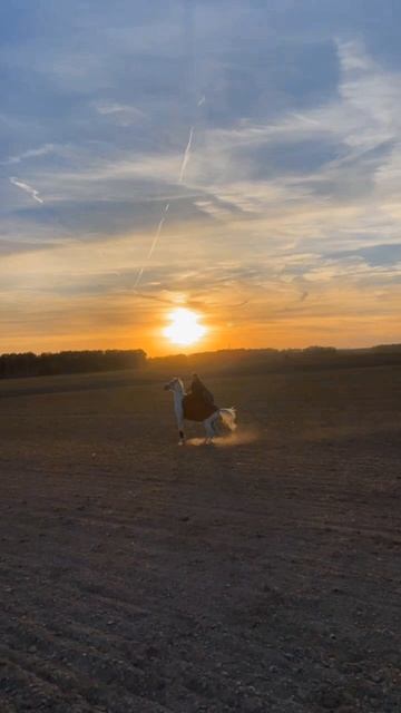 Выезд в костюмах