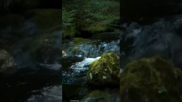 Премьера2026